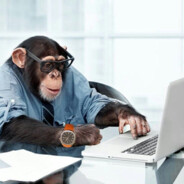 умная обезьяна