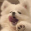 小云吞