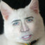 Gato Nicolas Cage