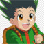 Gon Freecss