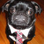 dpug