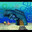 KrabbyDrKelp avatar