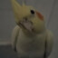PunsVibes