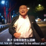 燕子没有你我可怎么活