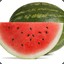 Water Melone