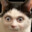 Monsieur Miaou