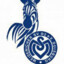Patro* MSV