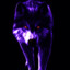 Le loup violet