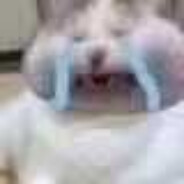 正在偷吃电弧星