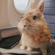 请以你的名字呼唤我