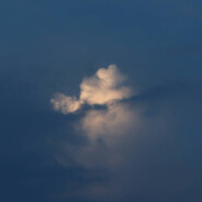 对不起我什么都做不到