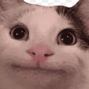 suspicious_cat avatar