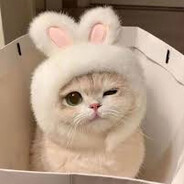 itsjoris avatar