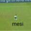 isa