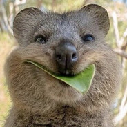 сульфат аммония