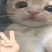 chudluv77