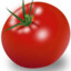 Wild_tomato