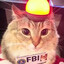 FBI cat