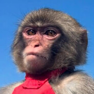 Chimp