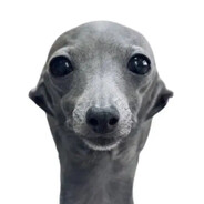 вна2ре maxzay avatar