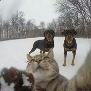 屠杀香港台湾杂种