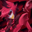 Alastor