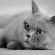 It's all routines！