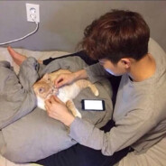 宝宝巴士固定赢对开160+-