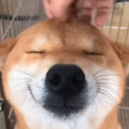 你今天打卡了吗