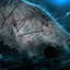 Pallid Whale