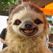 Xoka - steam id 76561197967171146