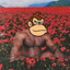 DonkeY KonK avatar