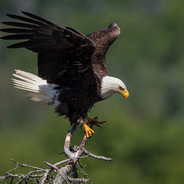 JustKilleran - steam id 76561198987105151