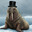 Walrus