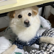 定格丶最后的天蓝