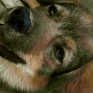 帮扶工作队队长