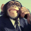 Business Monkey 1