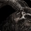 Black Phillip