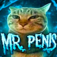 MR PENIS 🗣️🗣