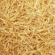 𝔳𝔦𝔱𝔬𝔯☯☣