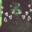 [F.U.N.K.Y]MonkeyIsObvious