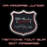 Mr Propre Junior