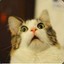 Nyancat