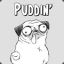 The(Bot)PUDDIN&#039;