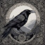 Raven