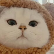 打赢就去吃西瓜