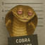 Cobra