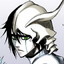 Hanks_shura