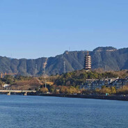 温风拂楼缀兰花