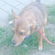 Miśka Jest Bita CESPORT.PL